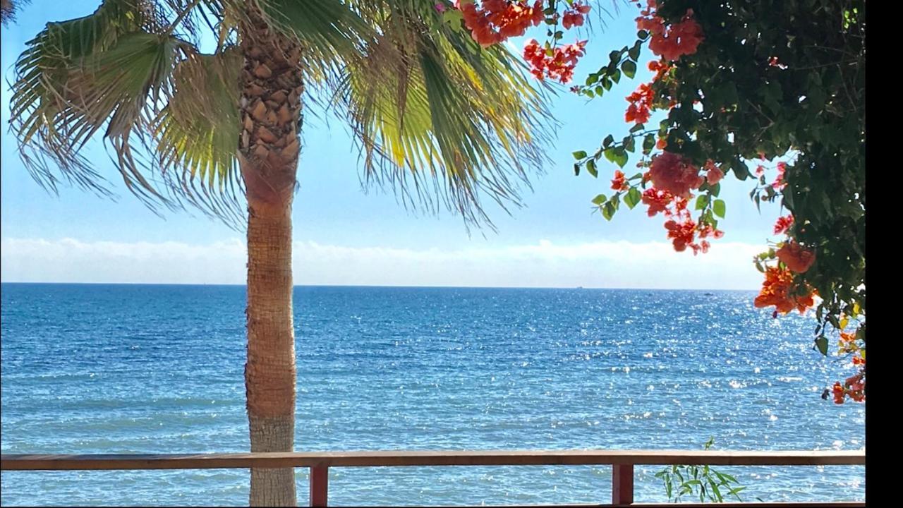 Mi Capricho 4C Beachfront -Apartment With Sea View - Costa Del Sol Sitio de Calahonda Dış mekan fotoğraf